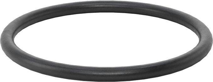 Ultra Kimyasala Dayanıklı DuPont Kalrez 4079 O-Ring, 3/32 Kesirli Genişlik, Dash Numarası 127