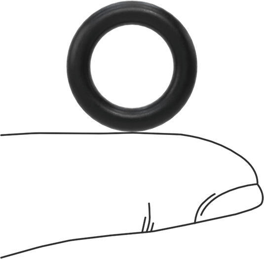 Ultra Kimyasala Dayanıklı DuPont Kalrez 4079 O-Ring, 1/8 Kesirli Genişlik, Dash Numarası 206