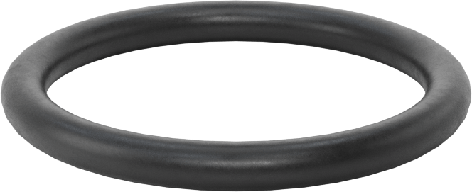 Ultra Kimyasala Dayanıklı DuPont Kalrez 4079 O-Ring, 1/8 Kesirli Genişlik, Dash Numarası 217