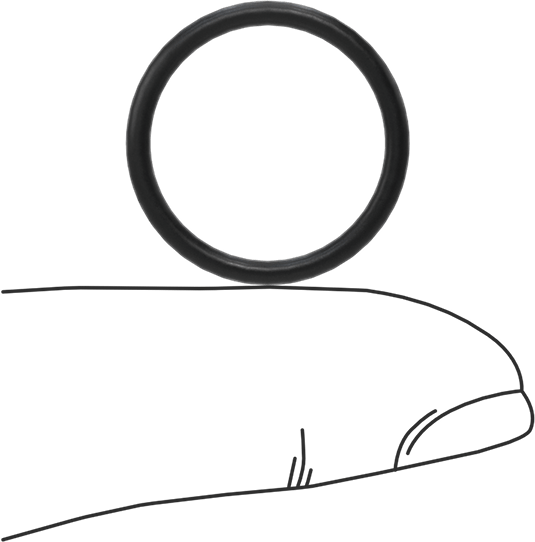 Ultra Kimyasala Dayanıklı DuPont Kalrez 4079 O-Ring, 1/16 Kesirli Genişlik, Dash Numarası 017