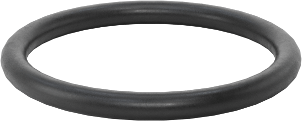 Ultra Kimyasala Dayanıklı DuPont Kalrez 4079 O-Ring, 1/16 Kesirli Genişlik, Dash Numarası 017