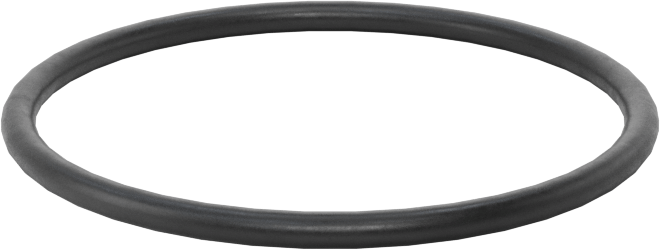 Ultra Kimyasala Dayanıklı DuPont Kalrez 4079 O-Ring, 1/16 Kesirli Genişlik, Dash Numarası 026