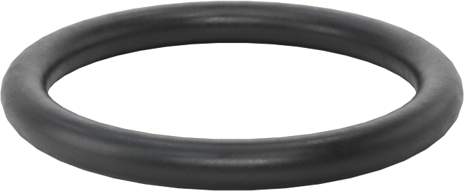 Ultra Kimyasala Dayanıklı DuPont Kalrez 4079 O-Ring, 1/8 Kesirli Genişlik, Dash Numarası 216