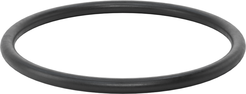 Ultra Kimyasala Dayanıklı DuPont Kalrez 4079 O-Ring, 3/16 Kesirli Genişlik, Dash Numarası 339