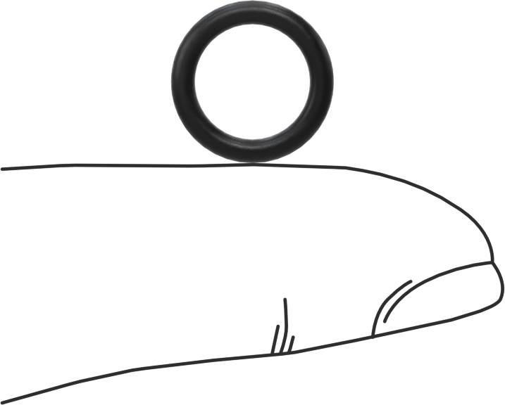 Ultra Kimyasala Dayanıklı DuPont Kalrez 4079 O-Ring, için Düz Dişli Boru Bağlantıları, Dash 904