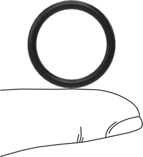 Ultra Kimyasala Dayanıklı DuPont Kalrez 4079 O-Ring, için Düz Dişli Boru Bağlantıları, Dash 910